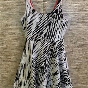 Express Animal Print Skater Dress
